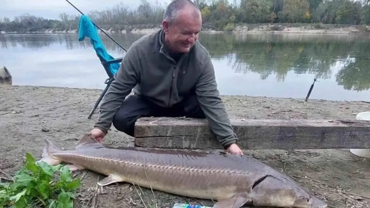 Szenzáció: kihaltnak hitt halat fogtak a Drávában