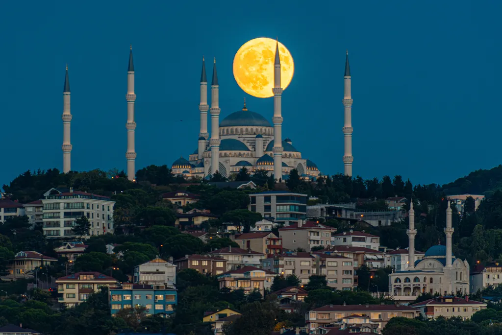 Vadász hold, telihold