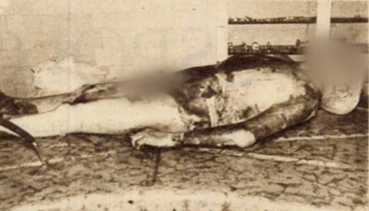 Még élt a férfi, akit élve felgyújtottak, amikor megérkeztek a nyomozók,