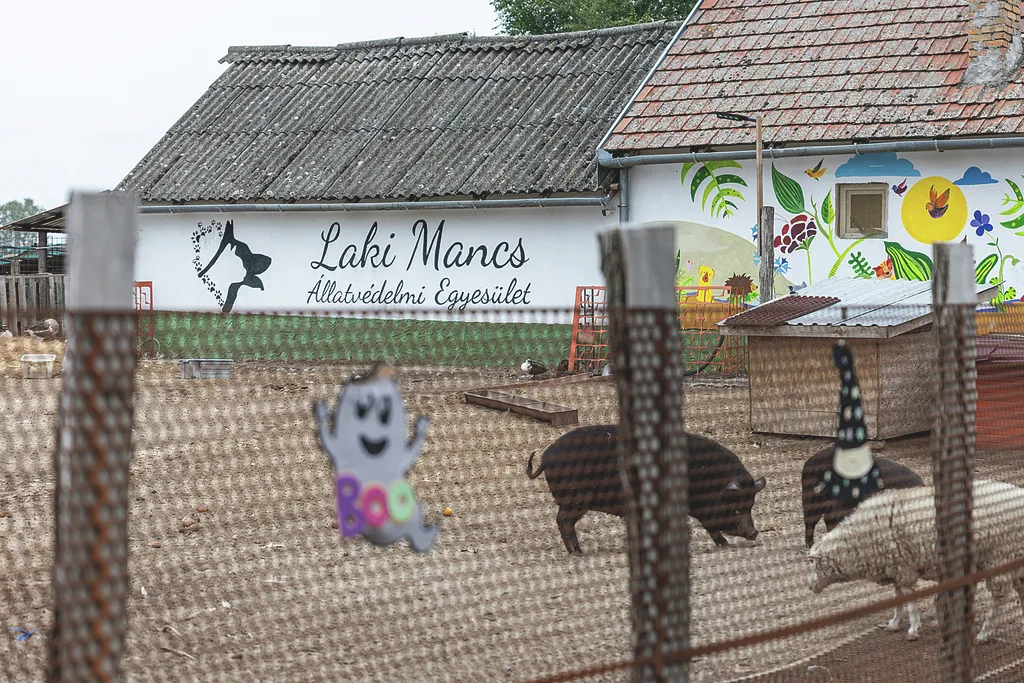 Laki Mancs Állatvédelmi Egyesület, LakiMancsÁllatvédelmiEgyesület, Lakitelek