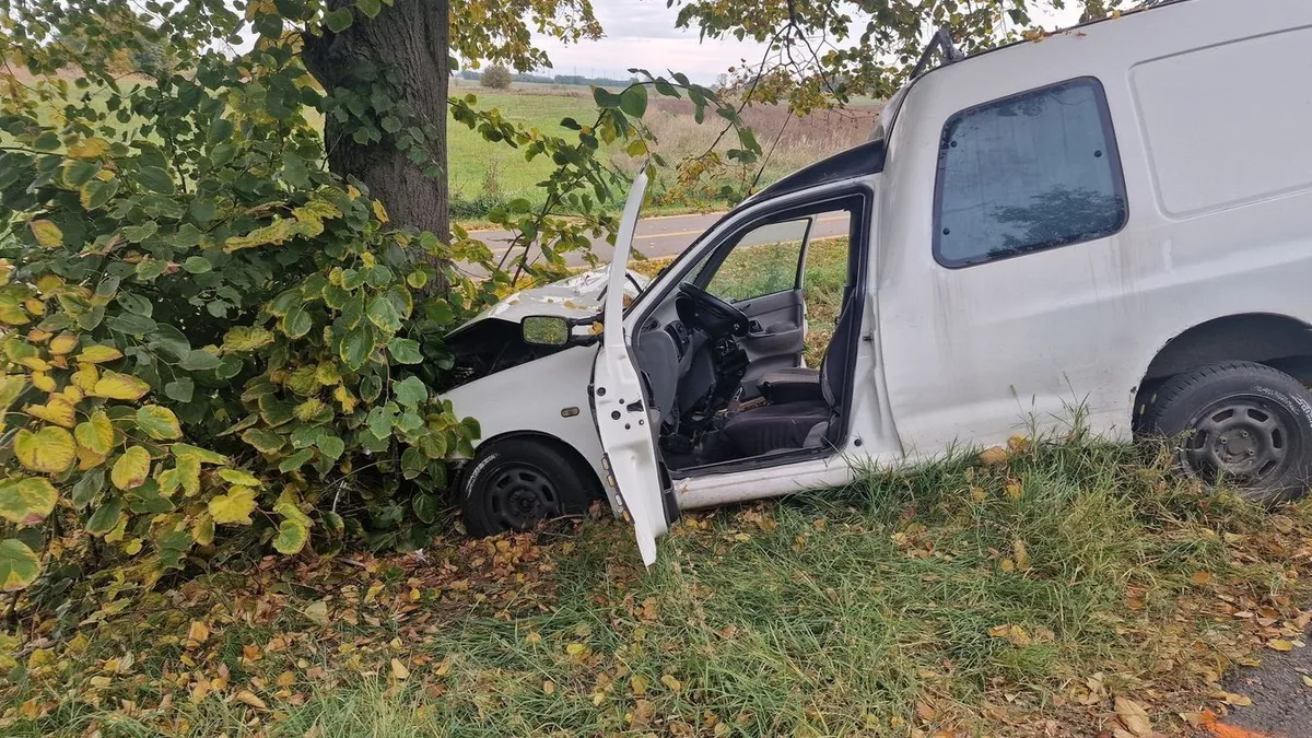 Baleset történt hétfőn Kápolnán, amikor egy autó csapódott fának 