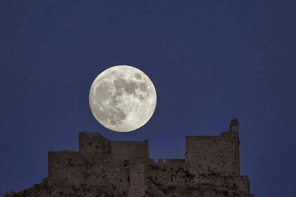 Vadász hold, telihold