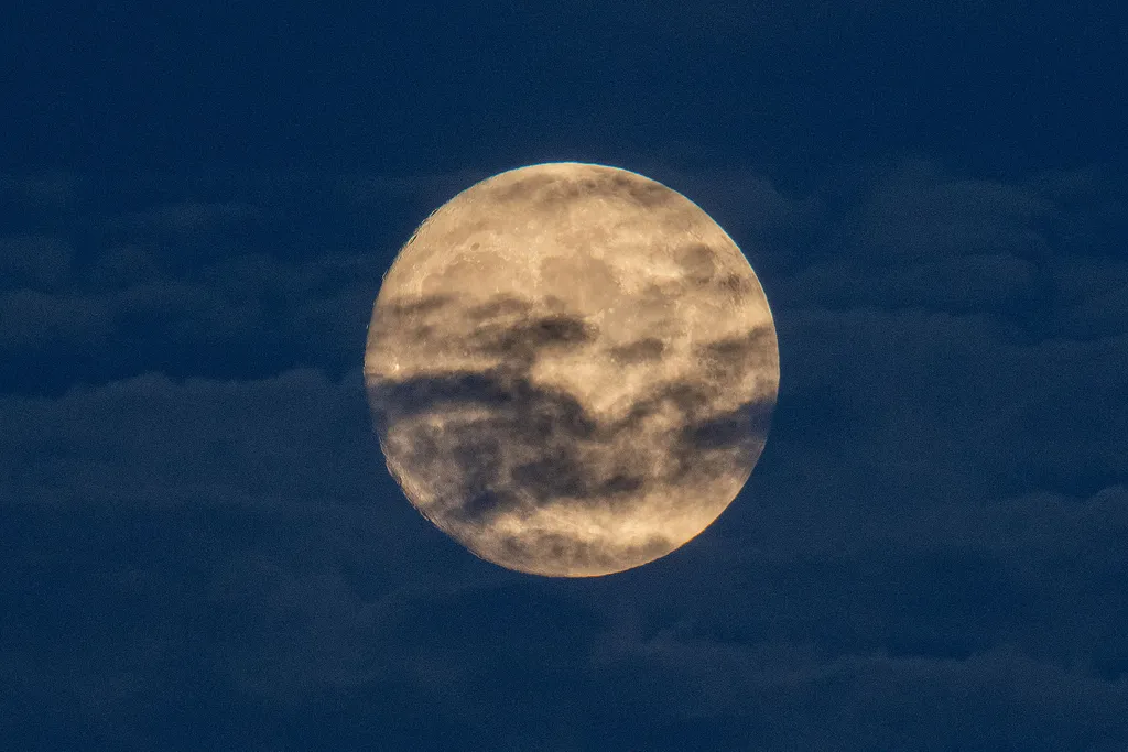 Vadász hold, telihold