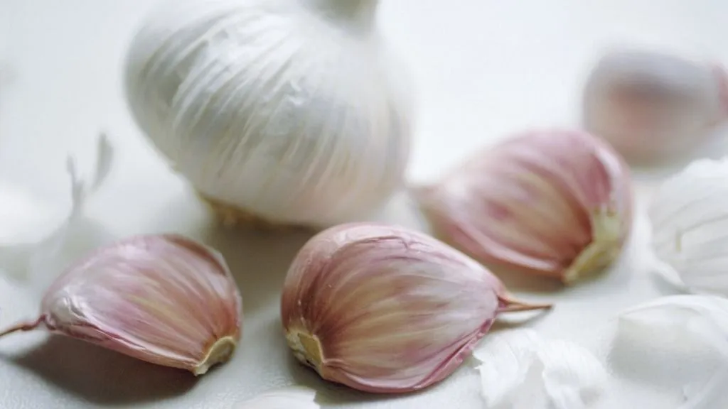 fokhagyma Studio shot of a bulb (head) and individual cloves of garlic (Photo by Lee Frost / Robert Harding Premium / robertharding via AFP)