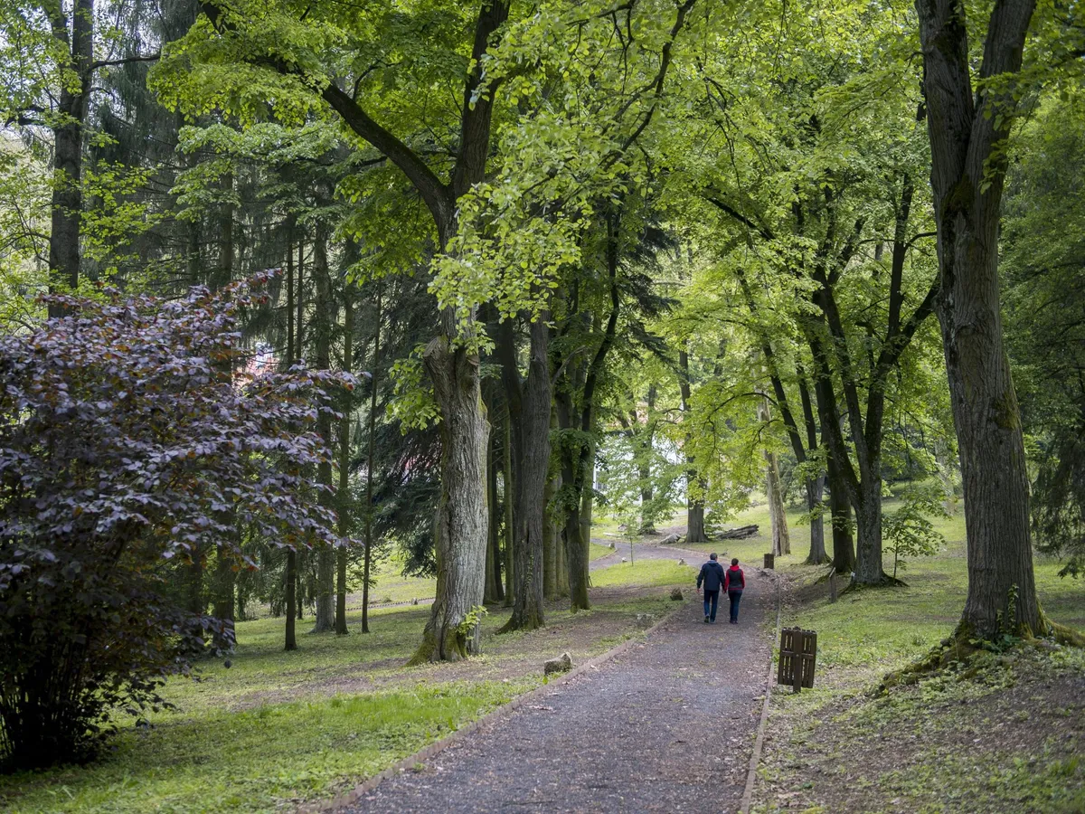 Őszi varázslat a fák között – Felfedezzük Magyarország rejtett arborétumait, Magyarországarborétum