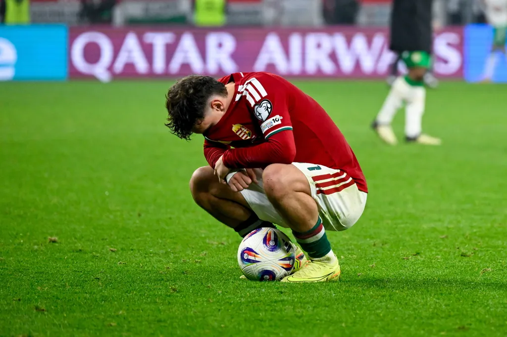 Labdarúgó vb-selejtező - Magyarország-Írország