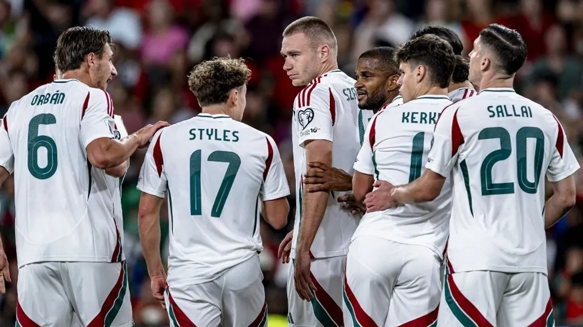 Élete legnagyobb csalódásáról és a magyar válogatottról is beszélt a volt szövetségi kapitány