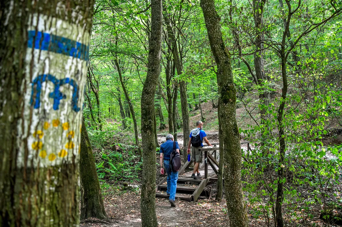 Tourists crossing the bridge in the forest at the Dera Gorge at Hungary -  designated tourist path blue and maria sign