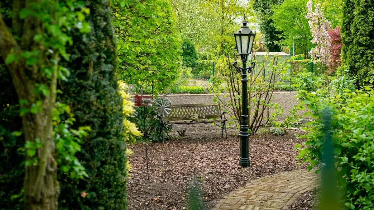 Kiderült a titok: ezt jelenti valójában a zöldfelületi mutató – sokan megszegik!