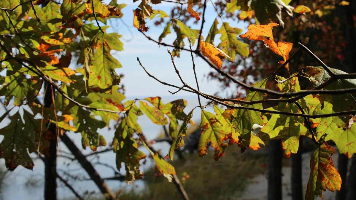 Időjárás: enyhe nappal, fagyos éjszaka vár ránk 