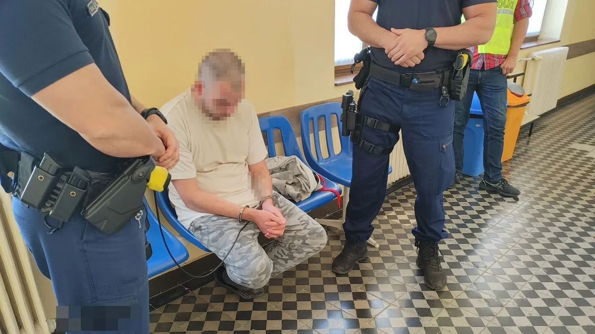 Ezért szúrta halálra az édesapját a paranoid skizofrén férfi