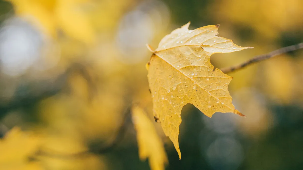 Óriásit fordul az időjárás a hét első napján, ennek sokan nem fognak örülni
