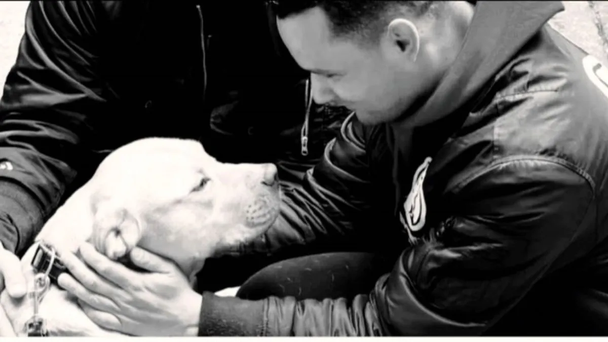 Ki tehet ilyet egy védtelen állattal? – szándékosan mérgeztek meg két kutyát a menhelyen