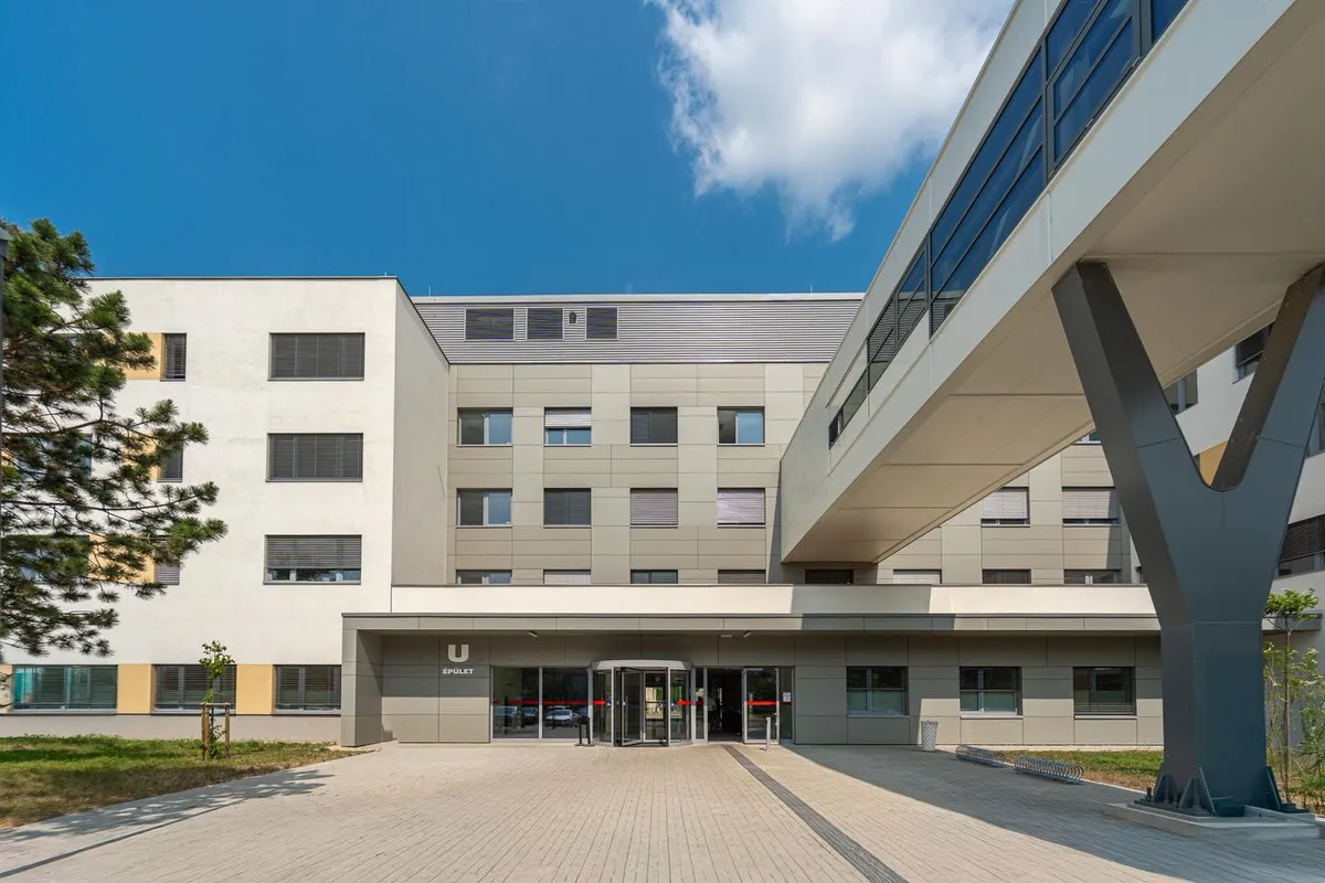 Tatabánya, kórház, pavilon, beteg, Takács, Péter