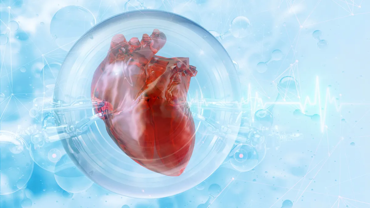 A szívizom regenerációja nem álom többé.