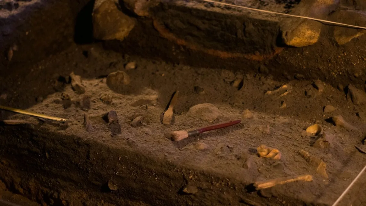 2000 éves ősi gyümölcs került elő Angliában – a szakértők sem értik, hogyan maradhatott meg így