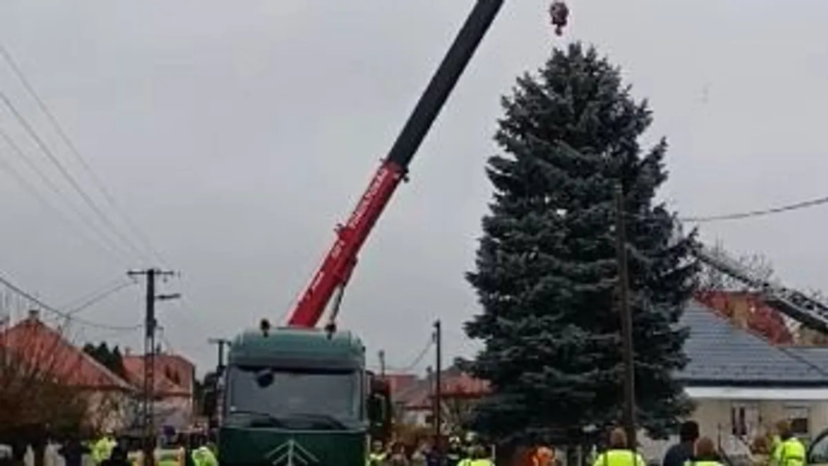 Kivágták az Ország Karácsonyfáját – Hamarosan indul a Kossuth térre