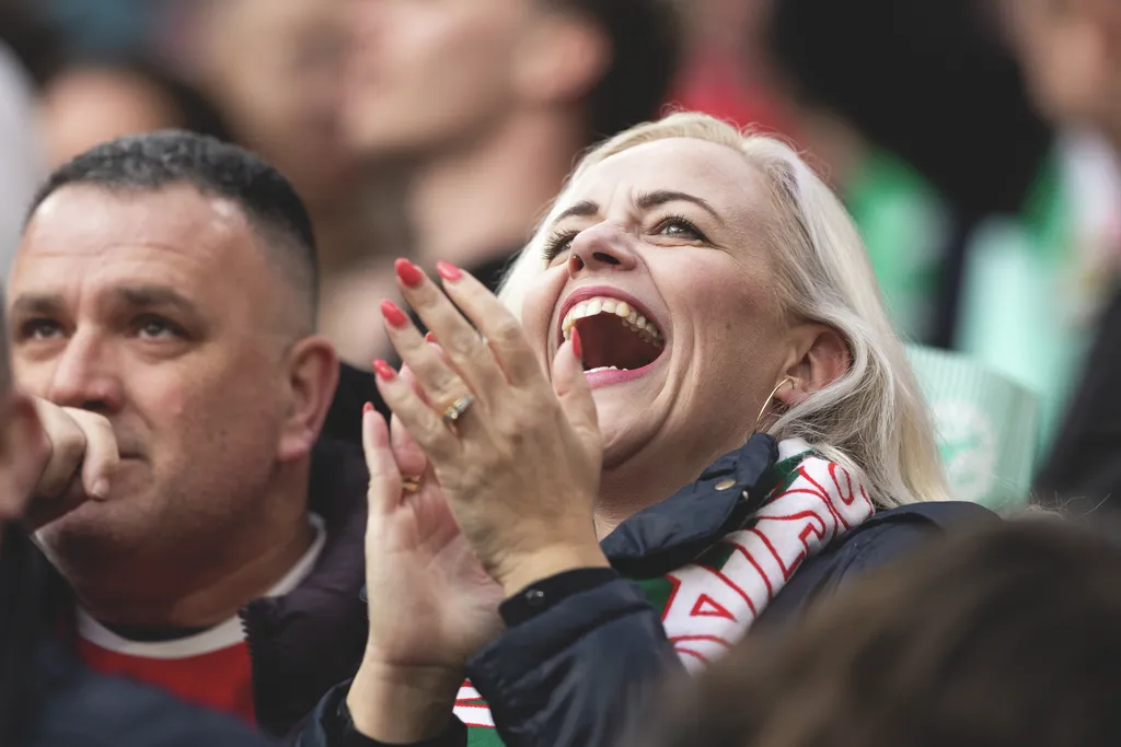 Magyarország-Írország