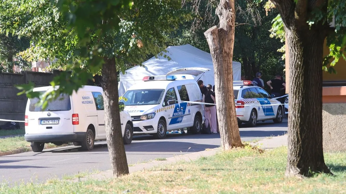 Legalább harminc emberi maradvány hevert szanaszét a földön