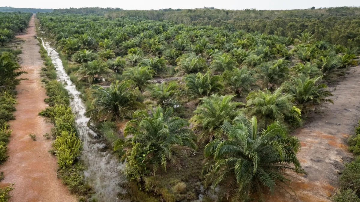 Évekig démonizálták, most kiderült az igazság a hírhedt alapanyagról