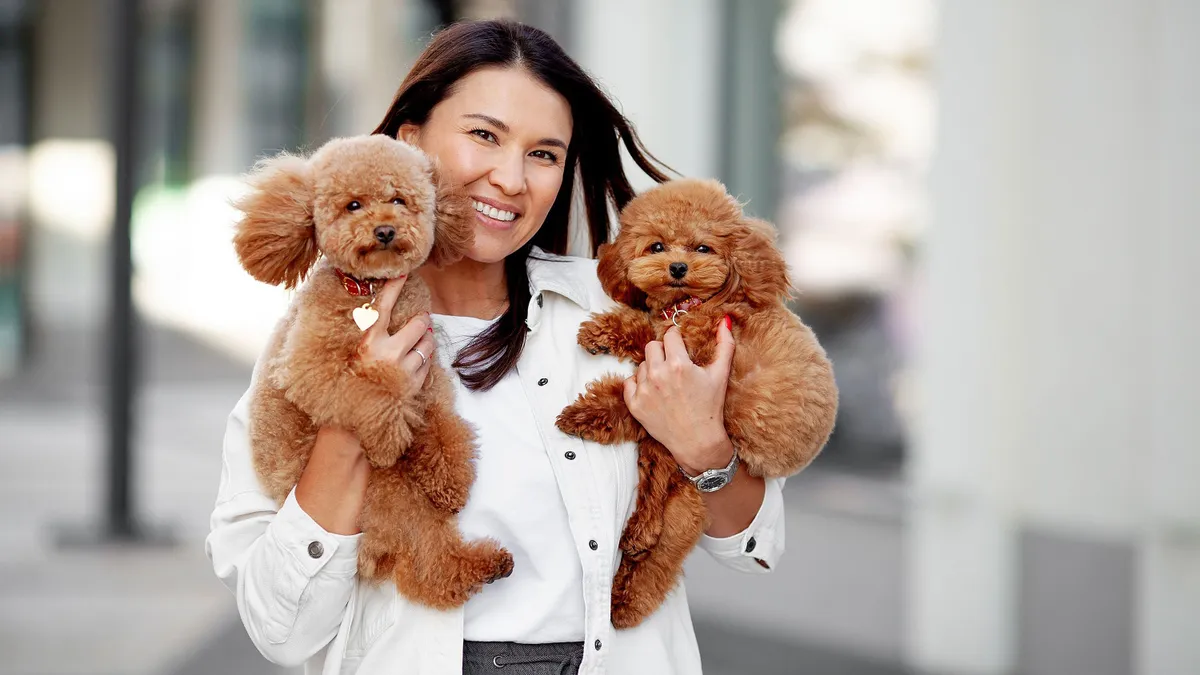 Nagy veszélyben a házikedvencek: az összes bevizsgált állatfelszerelés megbukott a fogyasztóvédelmi vizsgálaton