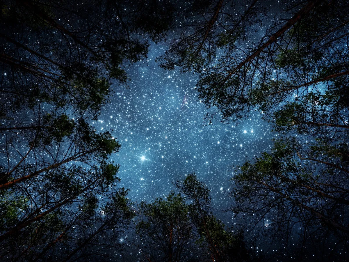 Csillagoségbolt-díj