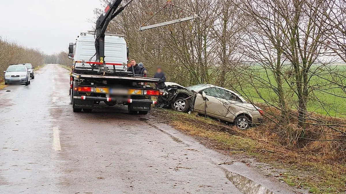 Hatalmas baleset: több fának is nekicsapódott, majd az árokba fúródott az autó – képgalériával