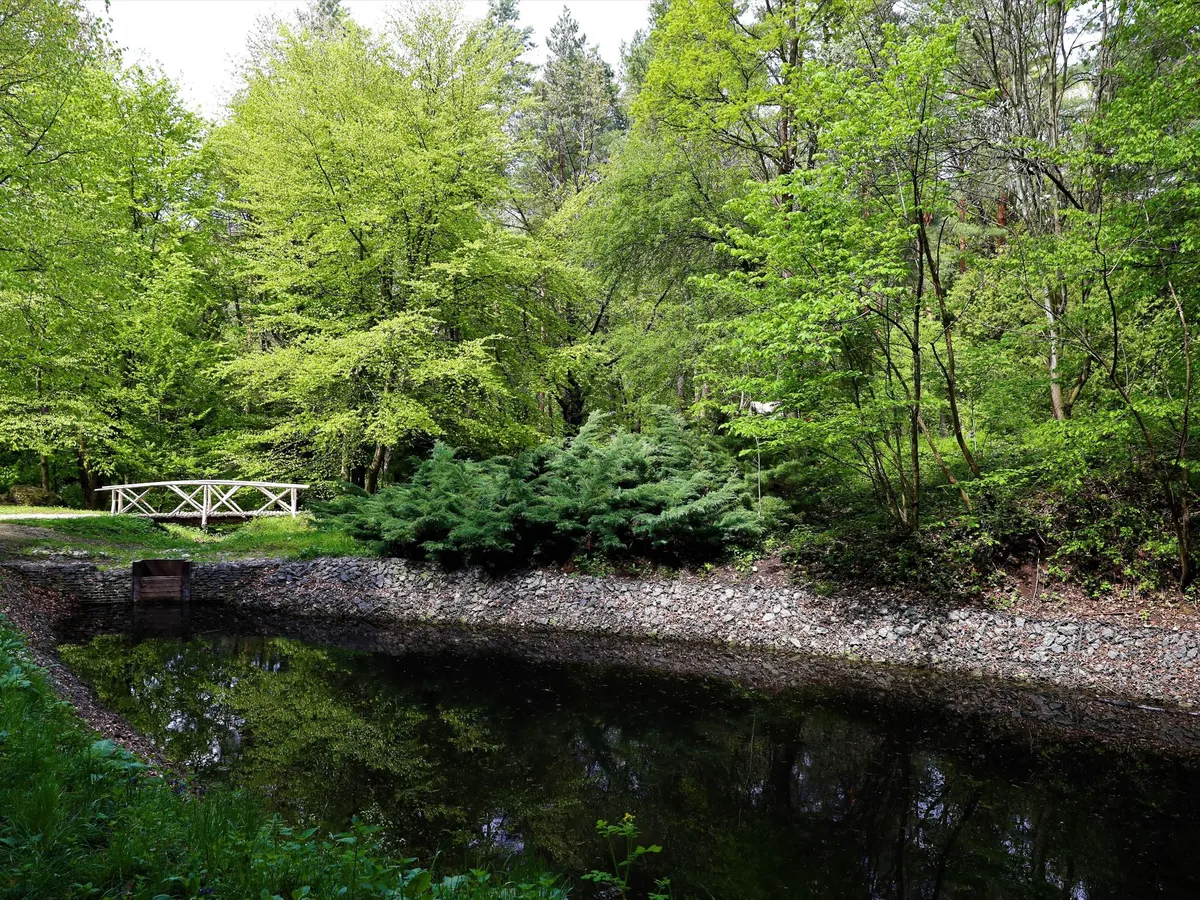 Őszi varázslat a fák között – Felfedezzük Magyarország rejtett arborétumait, Magyarországarborétum