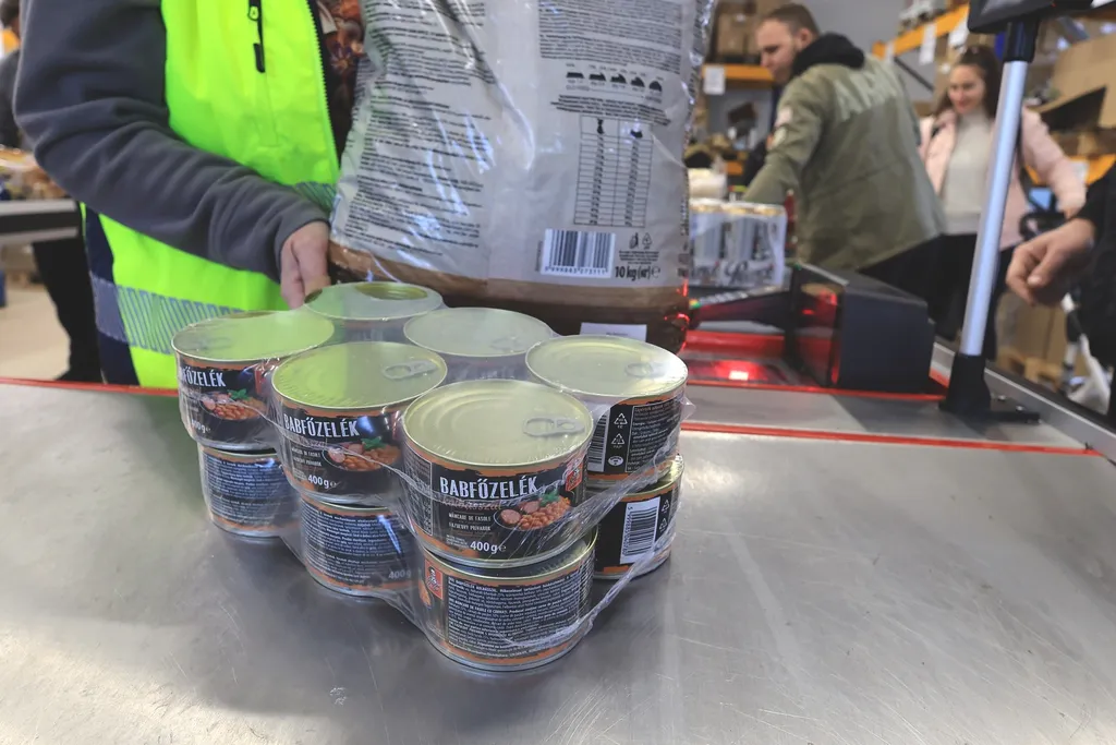 Basket Plus áruház, BasketPlus, kereskedelem, szupermarket, vásárlás, diszkont