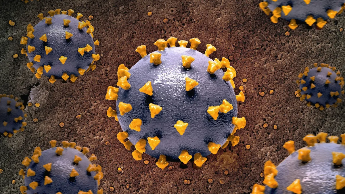 Továbbra is terjed a&nbsp;hepatitis&nbsp;A vírusa, a&nbsp;kézmosás a&nbsp;legjobb megelőzés