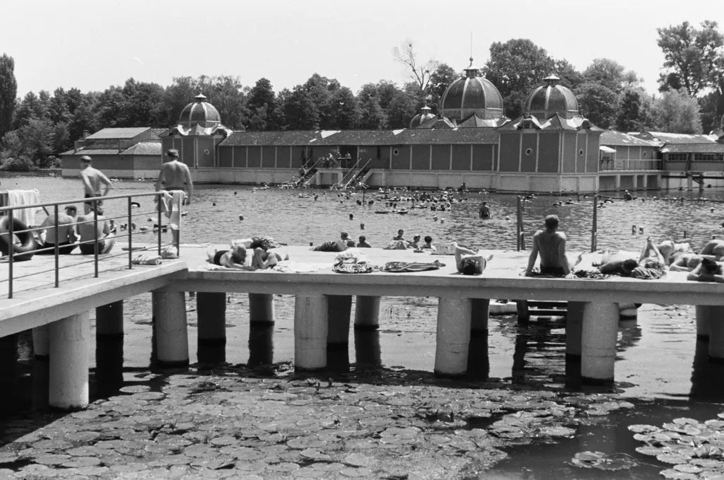 Hévíz, Hévízi Tófürdő, HévíziTófürdő, felújítás, galéria, 2025