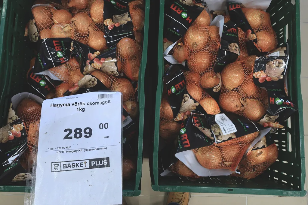 Basket Plus áruház, BasketPlus, kereskedelem, szupermarket, vásárlás, diszkont