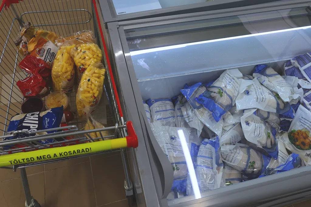 Basket Plus áruház, BasketPlus, kereskedelem, szupermarket, vásárlás, diszkont