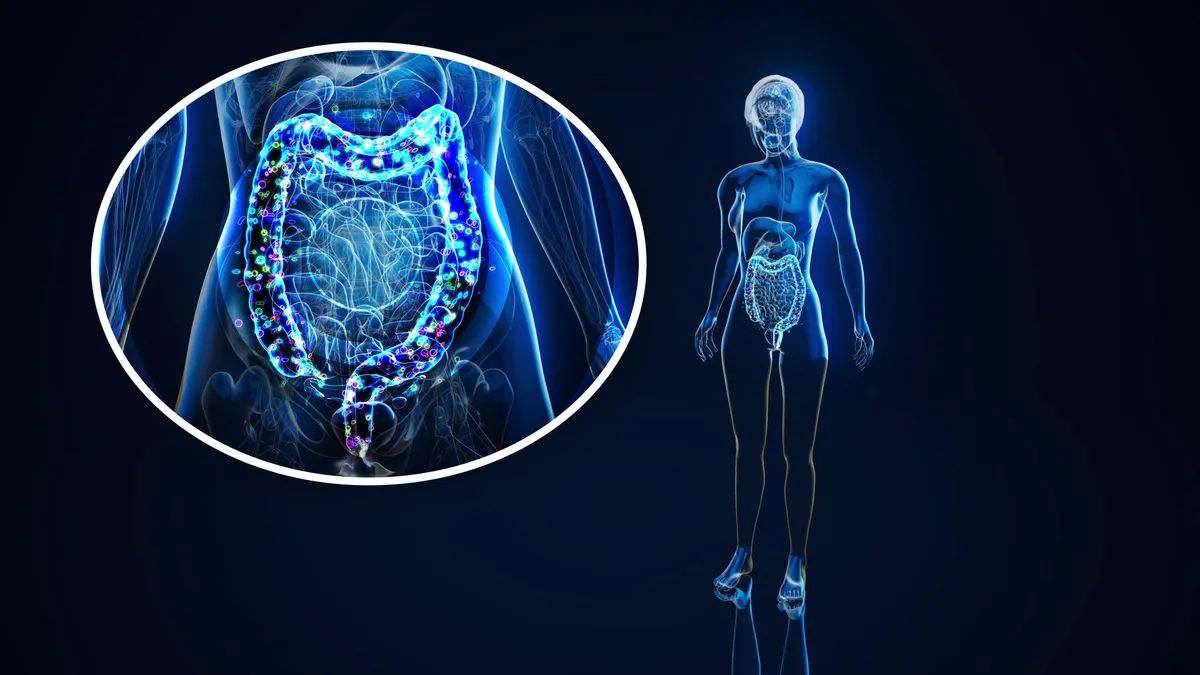 A vizsgált káros vegyületek hétköznapi ételekben, ivóvízben és háztartási termékekben is jelen lehetnek. Súlyosan károsítják a bélflóra egészségét.