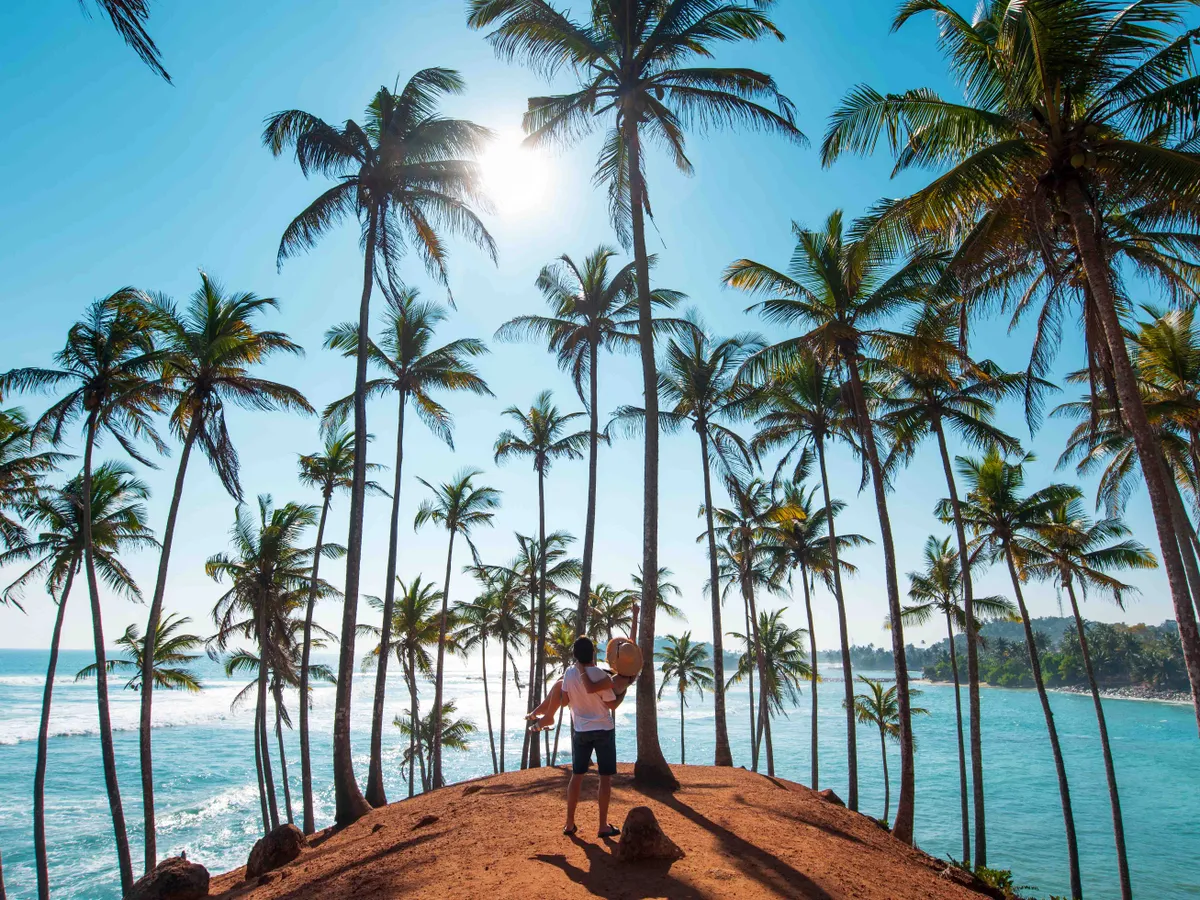 télből a nyárba úti célok