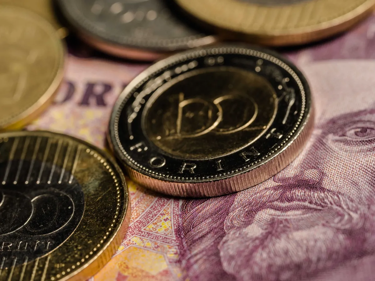 gazdaság, fizetőeszköz, pénz, forint, fizetés, hazai átlagkereset, hazaiátlagkereset