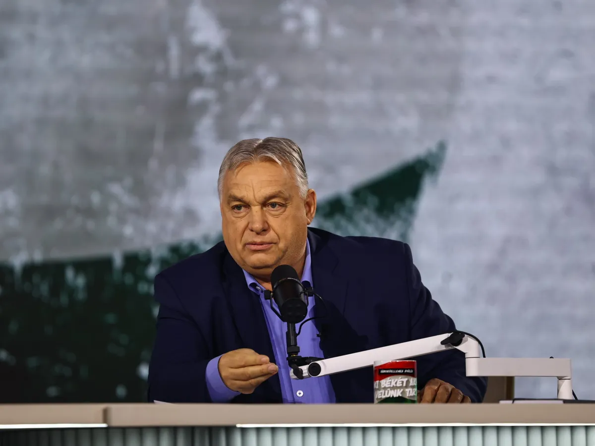 Digitális Polgári Körök, DPK, negyedik Háborúellenes Gyűlés, HáborúellenesGyűlés, Mohács, 2025.12.13., Orbán Viktor, OrbánViktor