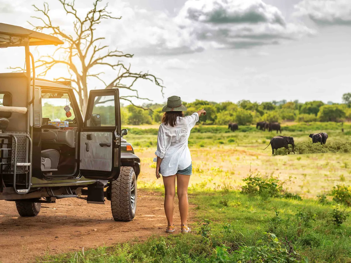 Tourist woman near off road car watching on elephants on safari tour on Sri Lanka