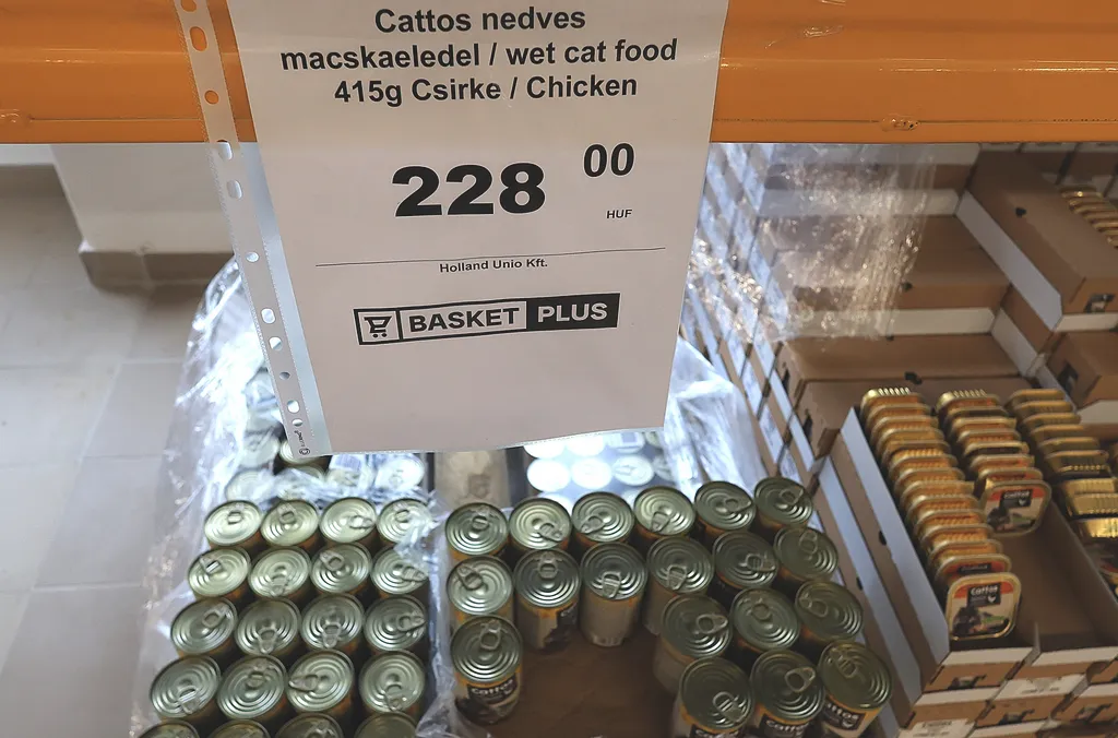 Basket Plus áruház, BasketPlus, kereskedelem, szupermarket, vásárlás, diszkont