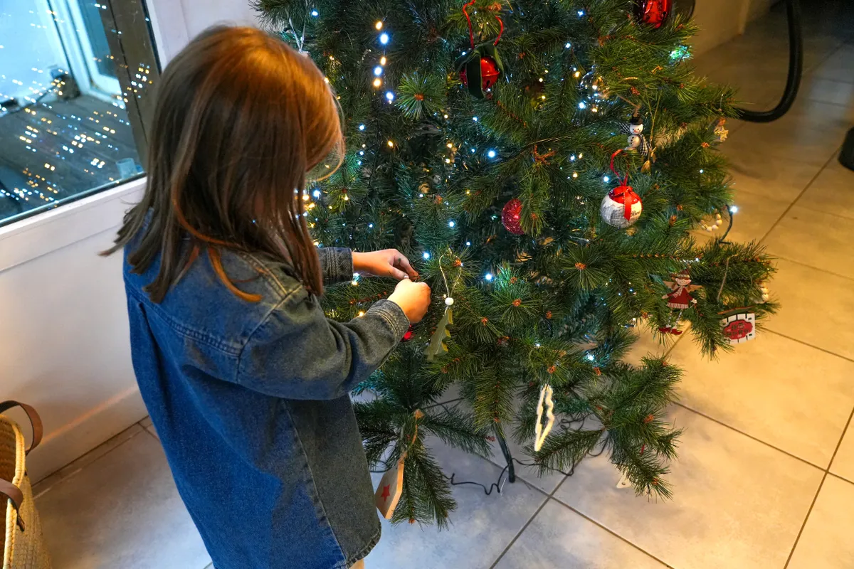 A karácsonyfa számos ízeltlábú rejtekhelye lehet, nem árt óvatosnak lenni.