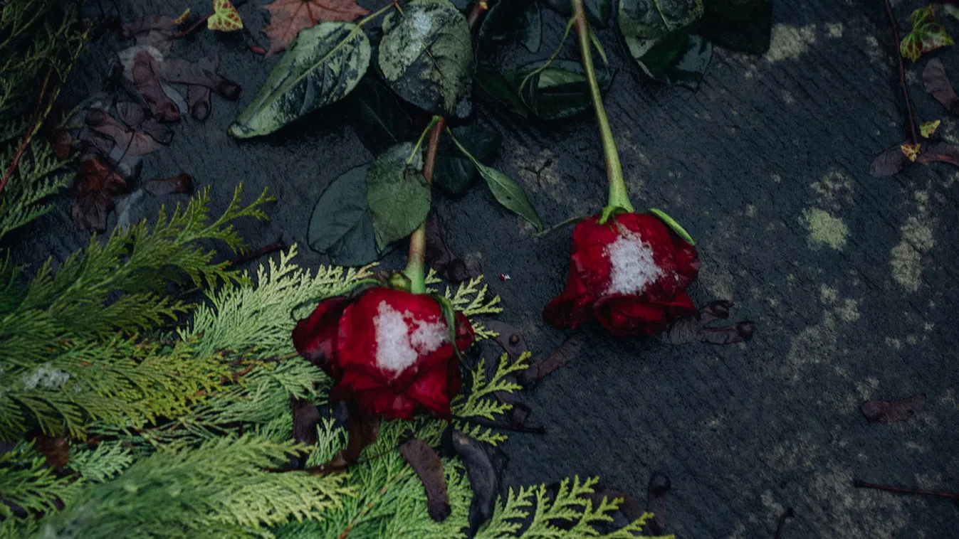 Megtalálták az eltűnt 8 éves kislány holttestét Kép