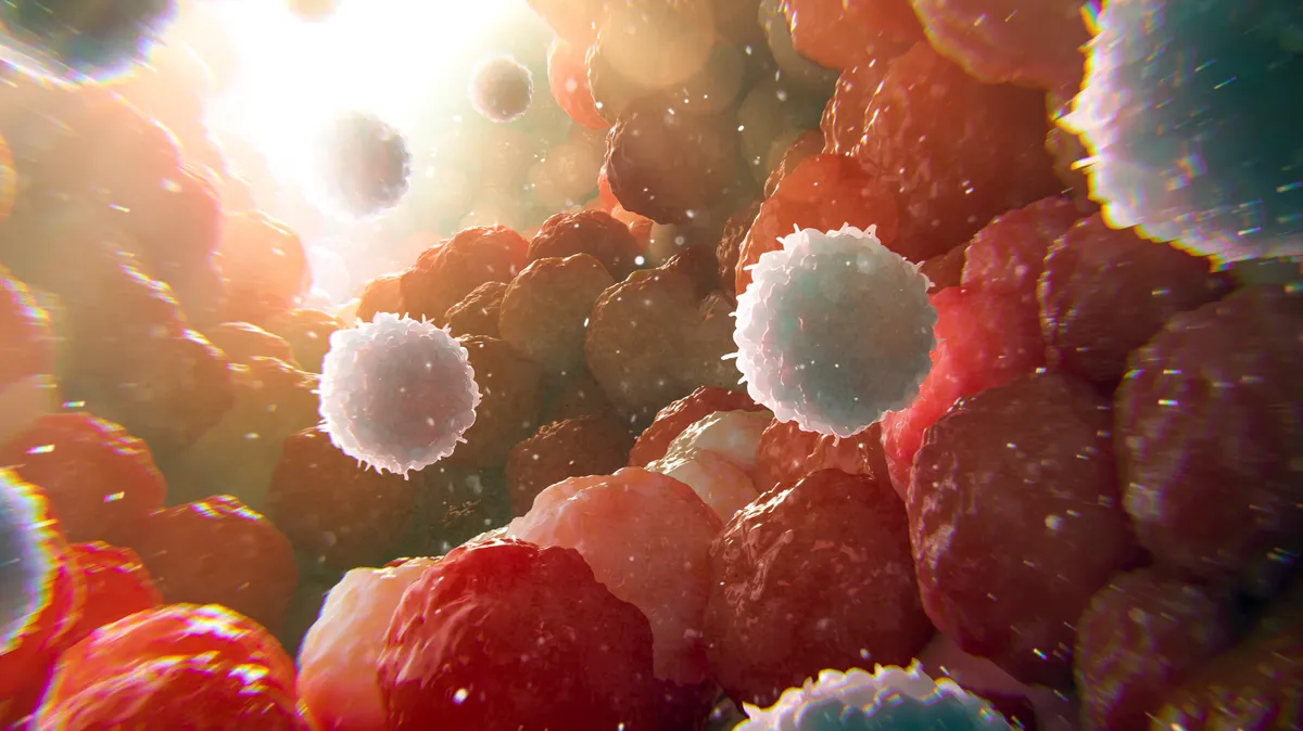 A rák kiéheztetése azért fontos, mert a daganat számára létfontosságú cukrok elvonásával lassítható a tumor növekedése.