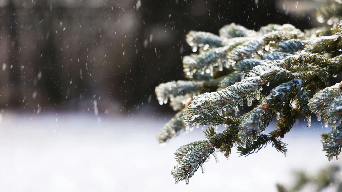 Ónos esővel indul a hét.