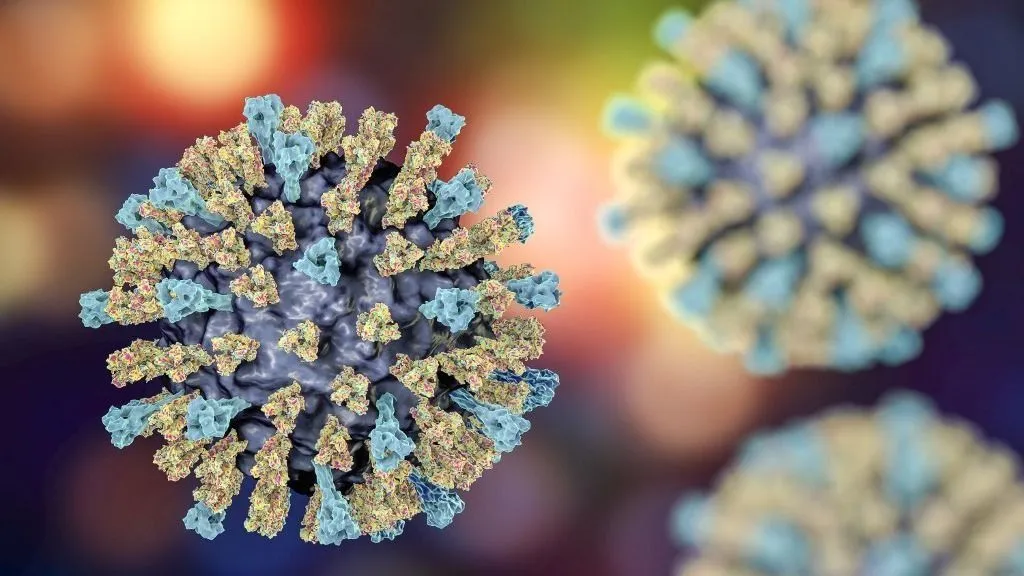 Measles virus particle, computer illustration. This virus, from the Morbillivirus group of viruses, consists of an RNA (ribonucleic acid) core surrounded by an envelope studded with surface proteins haemagglutinin-neuraminidase and fusion protein, which are used to attach to and penetrate a host cell. Measles is a highly infectious itchy rash with a fever. It mainly affects children, but one attack usually gives life-long immunity. (Photo by KATERYNA KON/SCIENCE PHOTO LIBRA / KKO / Science Photo Library via AFP)