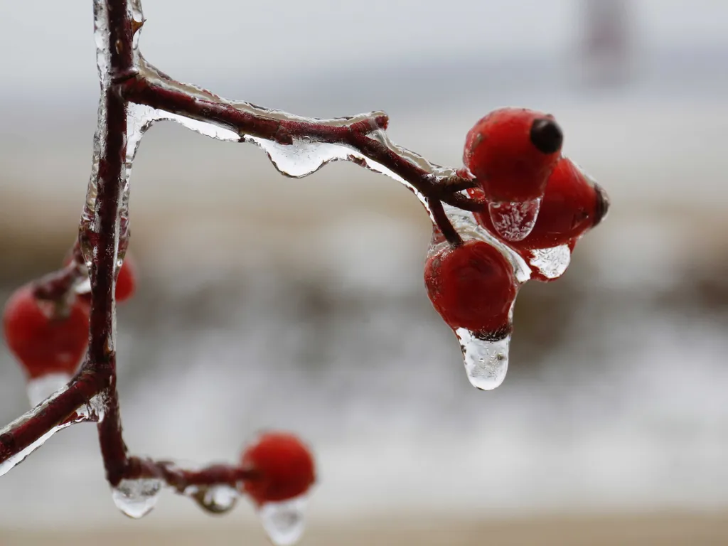 ónos eső vagy ólmos eső vegyes halmazállapotú, túlhűlt vízcseppekből álló csapadékfajta, ónoseső, időjárás, összeállítás, galéria, 2026