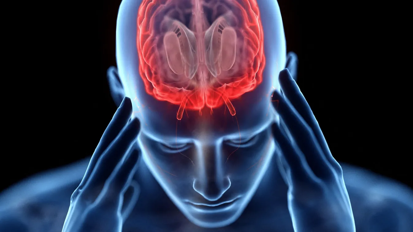 Hat tipp az agy fiatalon tartásához – szokások, amelyek lassítják az agy öregedését Kép