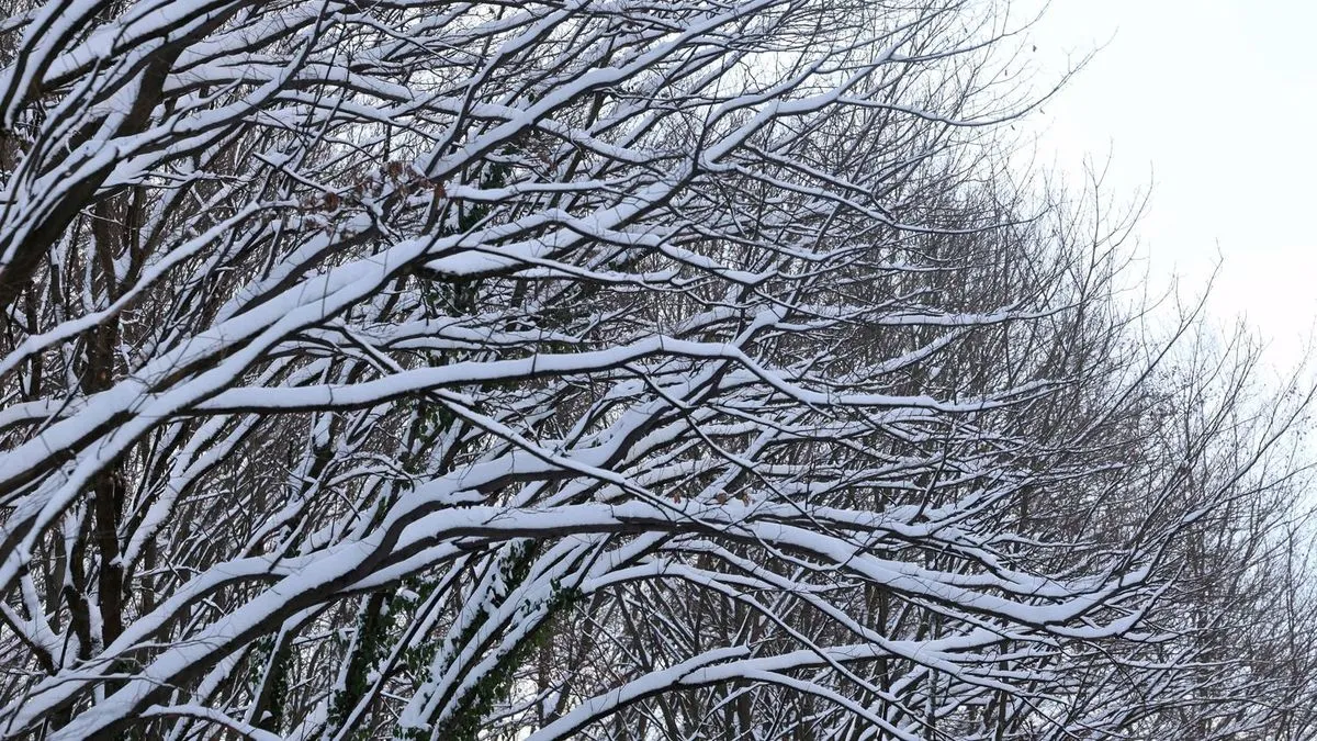 hó havas jég túra túrázás