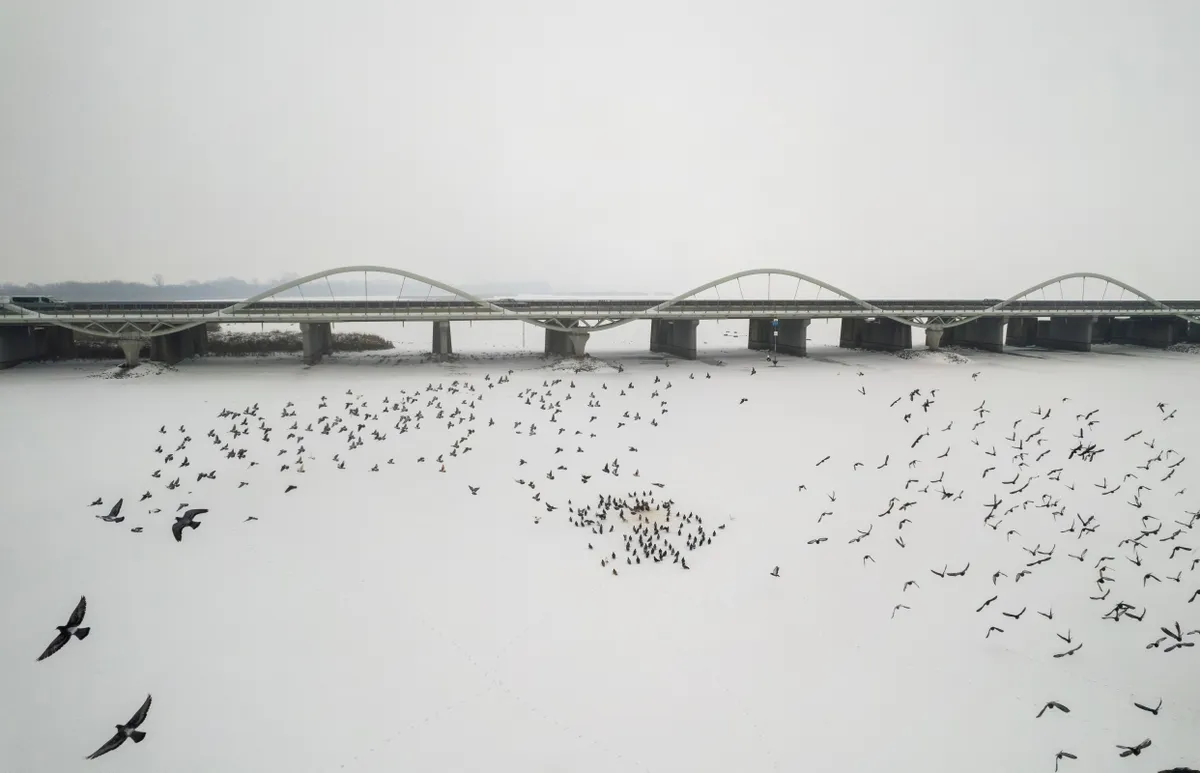 Lenyűgöző képeken a befagyott Tisza-tó és környéke, Tiszató, időjárás, tél, galéria, 2026