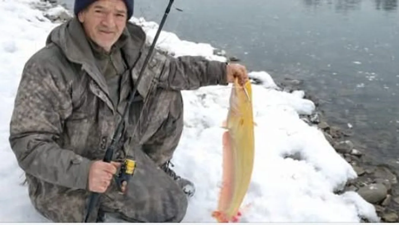 Nagy kapás a javából! Ritka albínó harcsa akadt egy szerencsés horgász botjára Kép