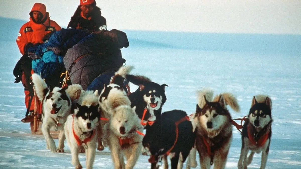 Száműzték a kutyákat az Antarktiszról, mutatjuk az okát – ORIGO